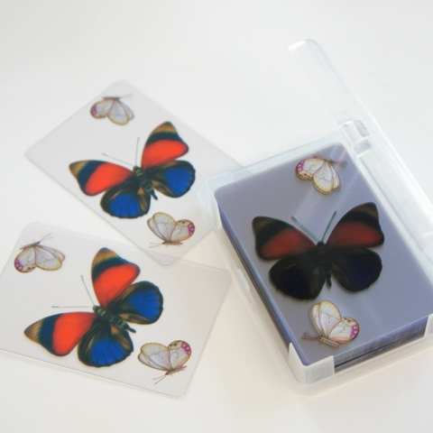 客製化撲克牌T-CARD彩蝶紛飛